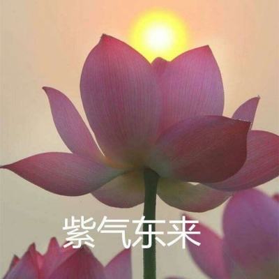 混沌之境内购破解版下载